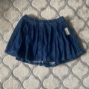 Aerie Blue Button-Front Skirt